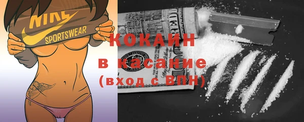 крисы Вязьма