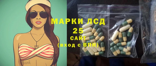 крисы Вязьма